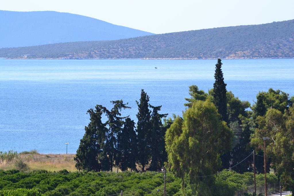 Alexandros Apartments Drepano  Chambre photo